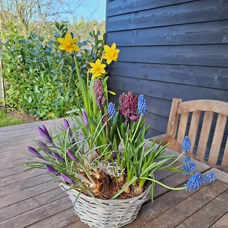 In De Bocht - Hottub Sauna Gemonde