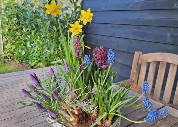 In De Bocht - Hottub Sauna Gemonde
